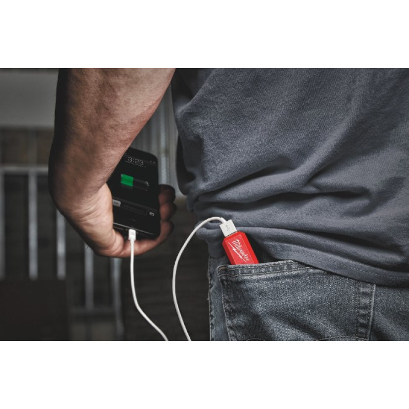 Акумулятор Li-Ion Повербанк 2,1А PPS-301 с зарядним пристроєм USB L4 MILWAUKEE 4932493335
